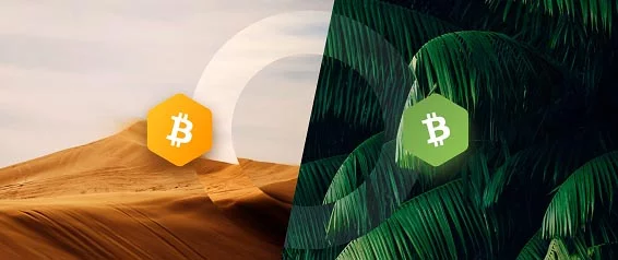 bitcoin-cash-vs-bitcoin
