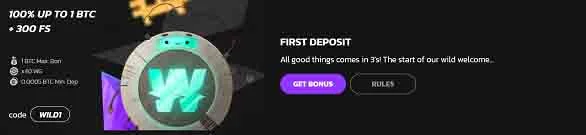 wildcoins deposit bonus
