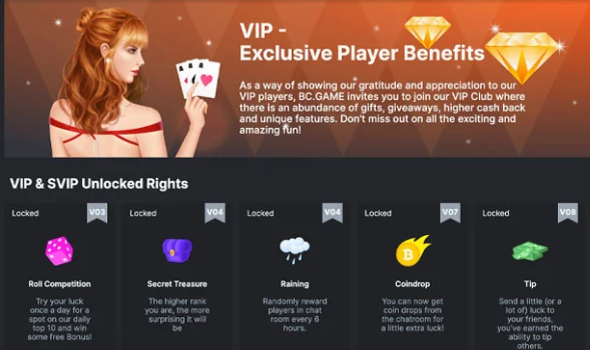 Illustration of BTC Casino VIP offers